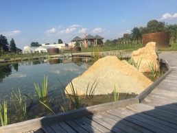 Mendelova zemědělska a lesnická univerzita okrasné jezírko