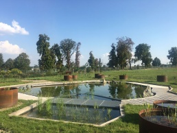 Mendelova zemědělska a lesnická univerzita okrasné jezírko olemované terasou