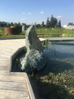 Mendelova zemědělska a lesnická univerzita detail kameny